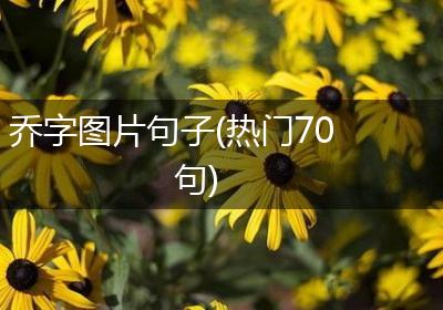 乔字图片句子(热门70句)