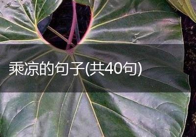 乘凉的句子(共40句)