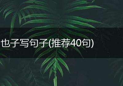 也子写句子(推荐40句)