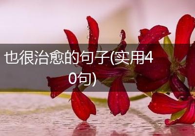 也很治愈的句子(实用40句)
