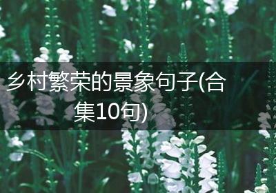 乡村繁荣的景象句子(合集10句)