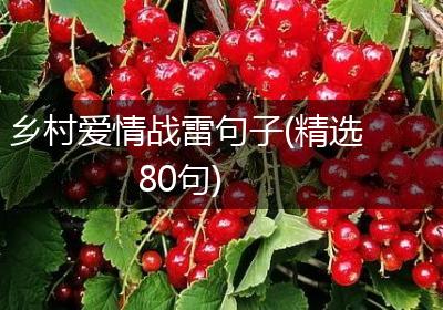 乡村爱情战雷句子(精选80句)
