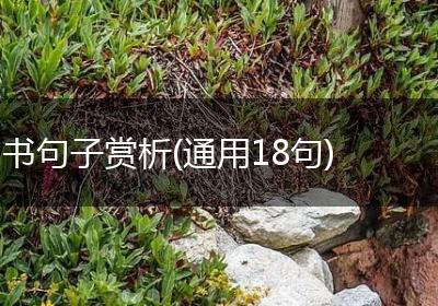 书句子赏析(通用18句)