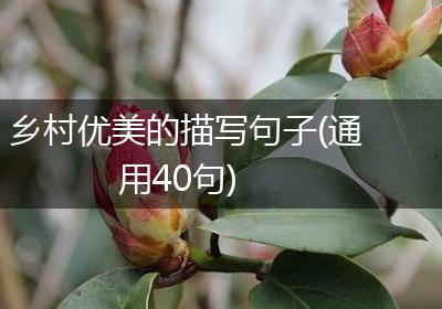 乡村优美的描写句子(通用40句)