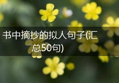 书中摘抄的拟人句子(汇总50句)