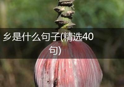 乡是什么句子(精选40句)
