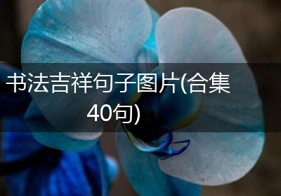 书法吉祥句子图片(合集40句)