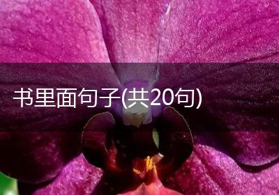 书里面句子(共20句)