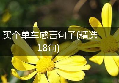 买个单车感言句子(精选18句)