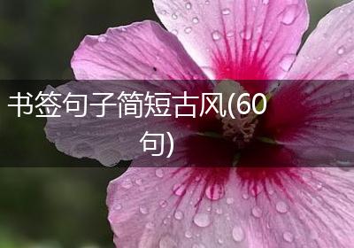 书签句子简短古风(60句)