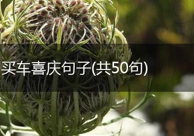 买车喜庆句子(共50句)