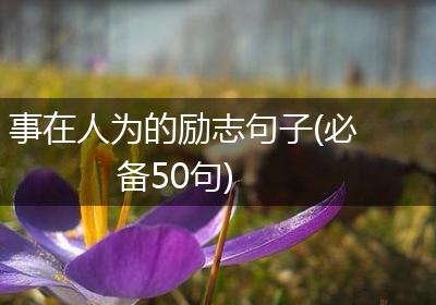 事在人为的励志句子(必备50句)
