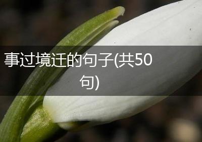 事过境迁的句子(共50句)