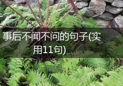 事后不闻不问的句子(实用11句)