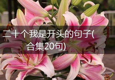 二十个我是开头的句子(合集20句)