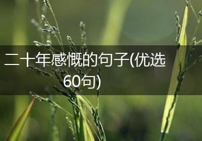 二十年感慨的句子(优选60句)