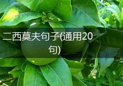 二西莫夫句子(通用20句)