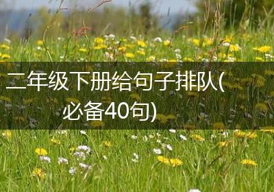 二年级下册给句子排队(必备40句)