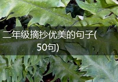 二年级摘抄优美的句子(50句)
