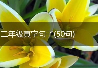 二年级真字句子(50句)