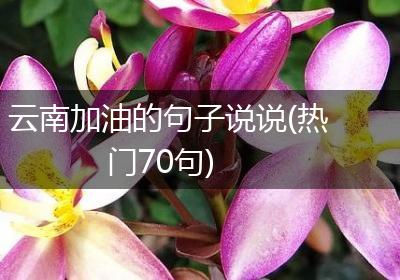 云南加油的句子说说(热门70句)
