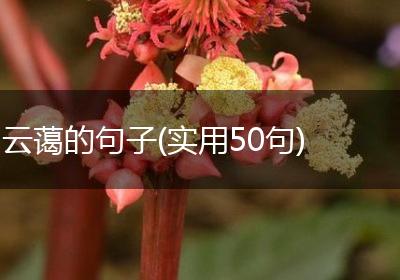 云蔼的句子(实用50句)
