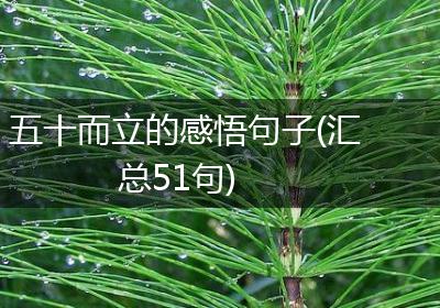 五十而立的感悟句子(汇总51句)