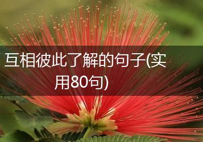 互相彼此了解的句子(实用80句)