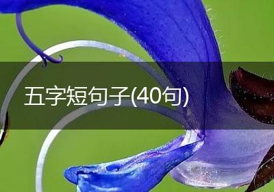 五字短句子(40句)