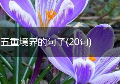 五重境界的句子(20句)