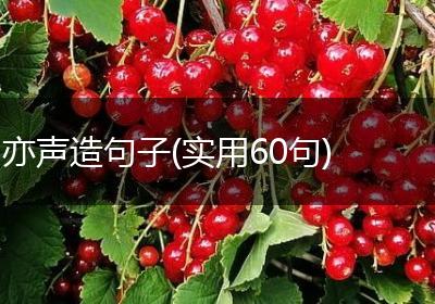 亦声造句子(实用60句)