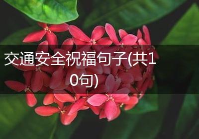 交通安全祝福句子(共10句)