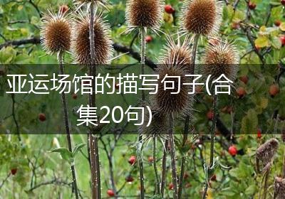 亚运场馆的描写句子(合集20句)