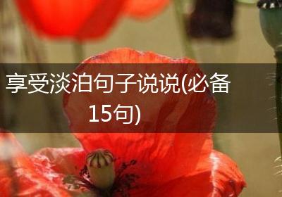 享受淡泊句子说说(必备15句)