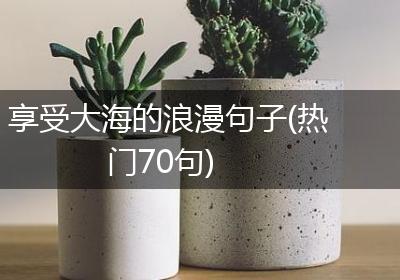 享受大海的浪漫句子(热门70句)