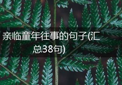亲临童年往事的句子(汇总38句)