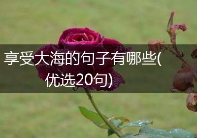 享受大海的句子有哪些(优选20句)