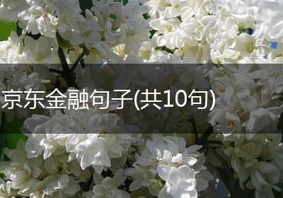京东金融句子(共10句)