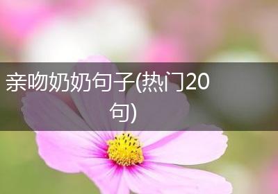 亲吻奶奶句子(热门20句)
