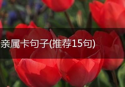 亲属卡句子(推荐15句)
