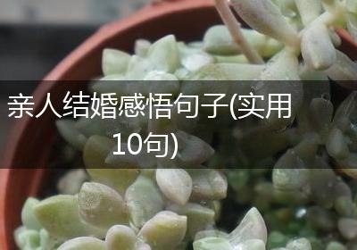 亲人结婚感悟句子(实用10句)