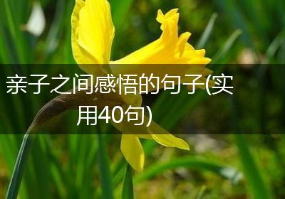 亲子之间感悟的句子(实用40句)