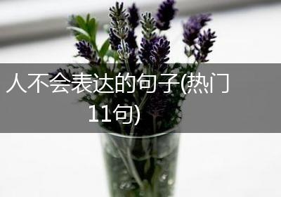 人不会表达的句子(热门11句)