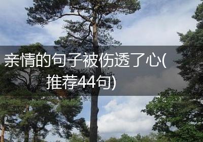 亲情的句子被伤透了心(推荐44句)