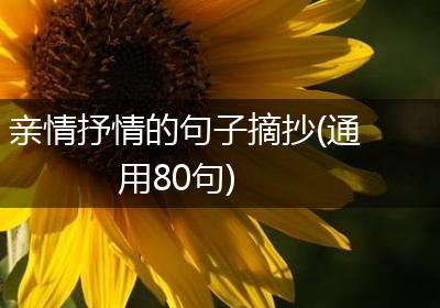 亲情抒情的句子摘抄(通用80句)
