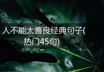 人不能太善良经典句子(热门45句)