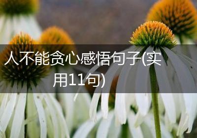 人不能贪心感悟句子(实用11句)
