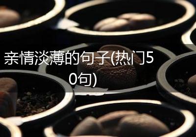 亲情淡薄的句子(热门50句)