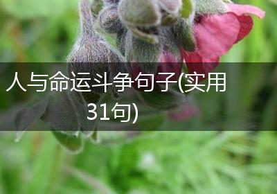 人与命运斗争句子(实用31句)