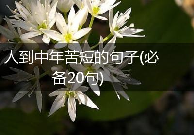 人到中年苦短的句子(必备20句)